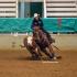 Ranch Horse Spring Fling
